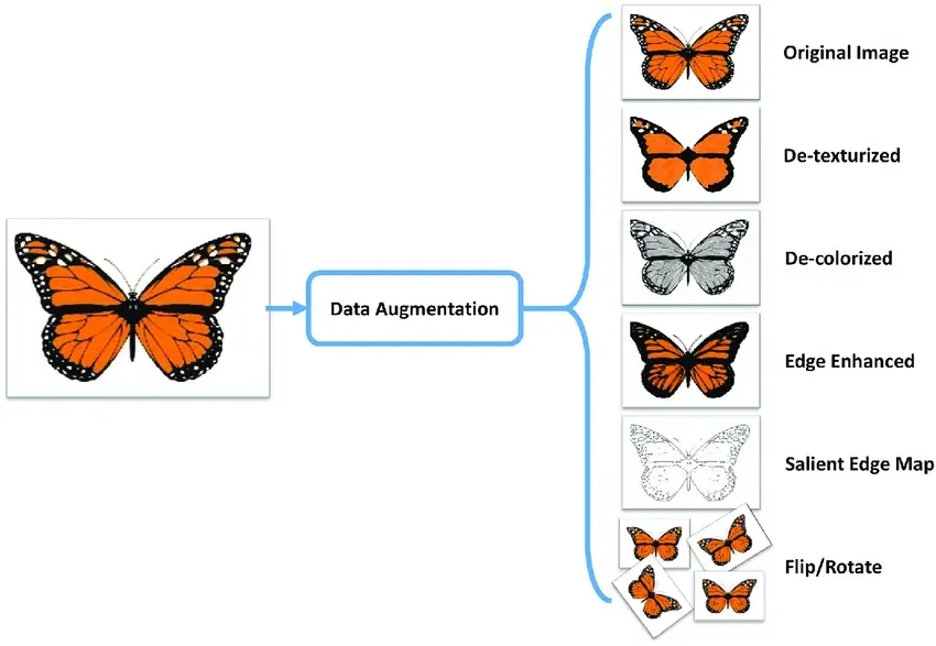 data augmentation