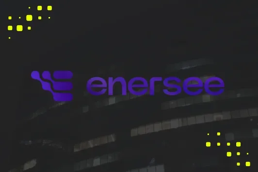 Enersee case study